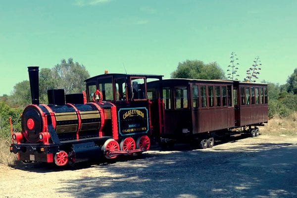 TRAIN-600x400.jpg